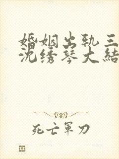 婚姻出轨三部曲沈绣琴大结局