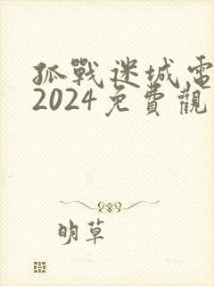 孤战迷城电视剧2024免费观看