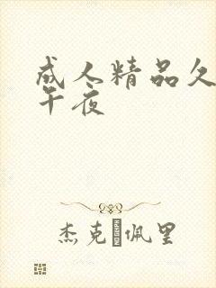 成人精品久久久午夜