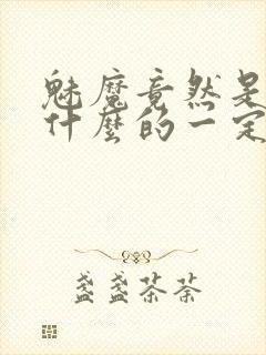 魅魔竟然是勇者什么的一定是搞错了