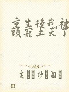 重生后我被死对头宠上天了在线