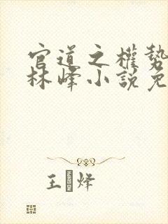 官道之权势滔天林峰小说免费阅读