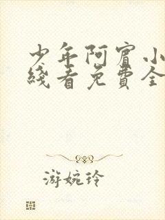 少年阿宾小说在线看免费全文无弹窗