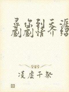 寻你到天涯电视剧剧情介绍