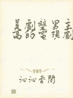 美剧双男主颜值高的电视剧封面