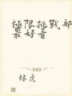 极限挑战哪一集最好看