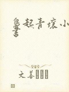 枭起青壤小说说书