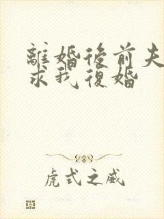 离婚后前夫哭着求我复婚