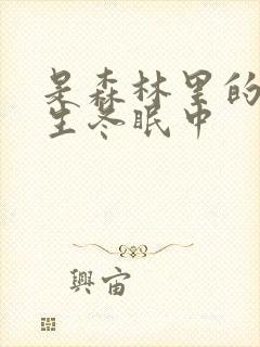 是森林里的熊先生冬眠中