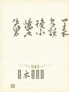 失忆后多了的前男友小说未删减封面