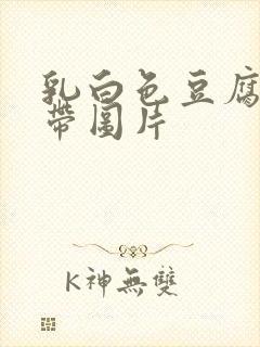 乳白色豆腐渣白带图片