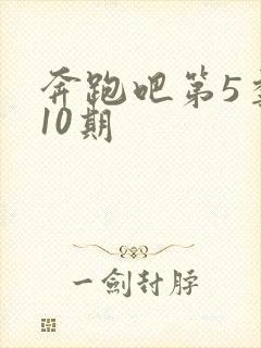 奔跑吧第5季第10期封面