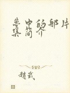 梦中的那片海分集简介