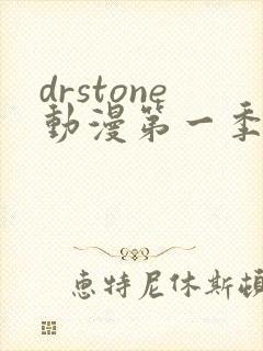 drstone动漫第一季免费观看