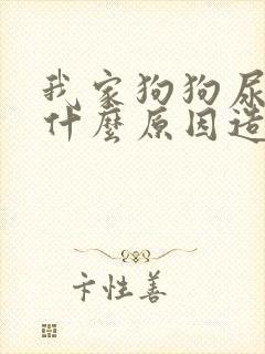 我家狗狗尿血是什么原因造成的