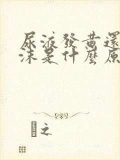 尿液发黄还有泡沫是什么原因