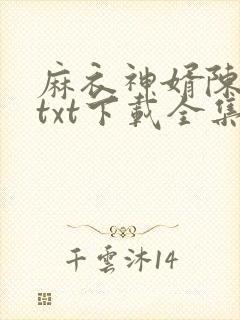 麻衣神婿陈黄皮txt下载全集