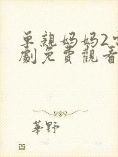 单亲妈妈2电视剧免费观看