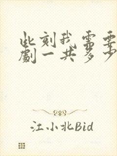 此刻我需要你泰剧一共多少集