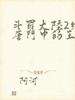 斗罗大陆2绝世唐门中的王冬封面