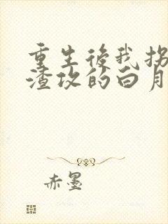 重生后我拐走了渣攻的白月光