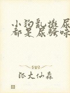 小狗乱撒尿房里都是尿骚味怎么办封面