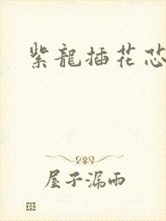 紫龙插花芯方正