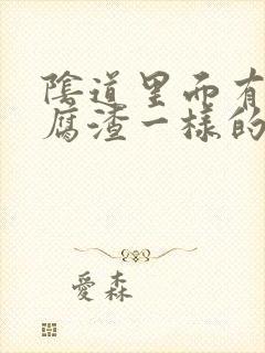 阴道里面有跟豆腐渣一样的东西是怎么回事