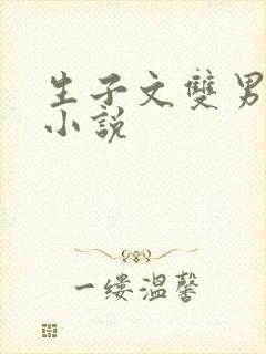 生子文双男主文小说封面