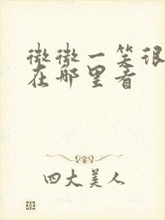 微微一笑很倾城在哪里看封面