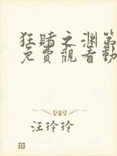 狂赌之渊第一季免费观看动漫