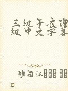 三级午夜理伦三级中文字幕封面