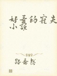 好看的宠夫女尊小说