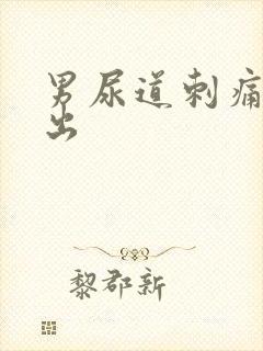 男尿道刺痛尿不出