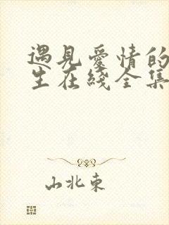 遇见爱情的利先生在线全集