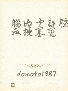 脑内少许腔隙缺血梗塞灶