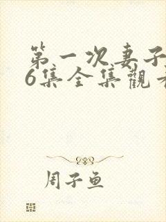 第一次妻子动漫6集全集观看免费封面