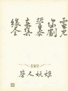 缘来誓你电视剧全集泰剧免费观看