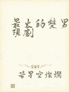 最火的双男主电视剧