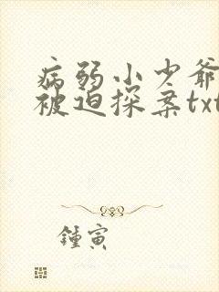 病弱小少爷又在被迫探案txt