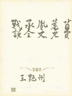 战承胤叶苜苜小说全文免费阅读