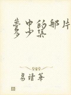 梦中的那片海共多少集