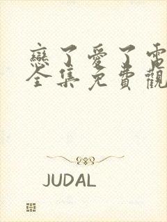 恋了爱了电视剧全集免费观看高清