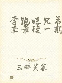 奔跑吧兄弟第一季最后一期免费观看