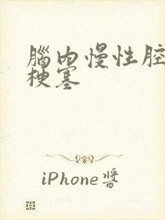 脑内慢性腔隙性梗塞