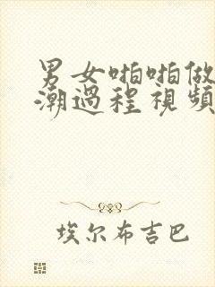 男女啪啪做爰高潮过程视频