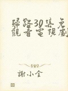 归路30集免费观看电视剧