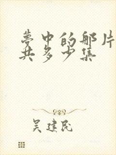 梦中的那片海一共多少集