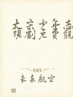 大宋少年志1电视剧免费观看完整版