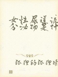女性尿道流出黄分泌物是什么封面